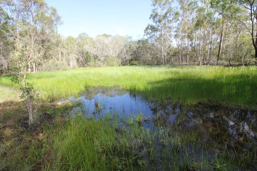 Additional image 27 of 1256 Tableland Road, Mount Maria QLD 4674