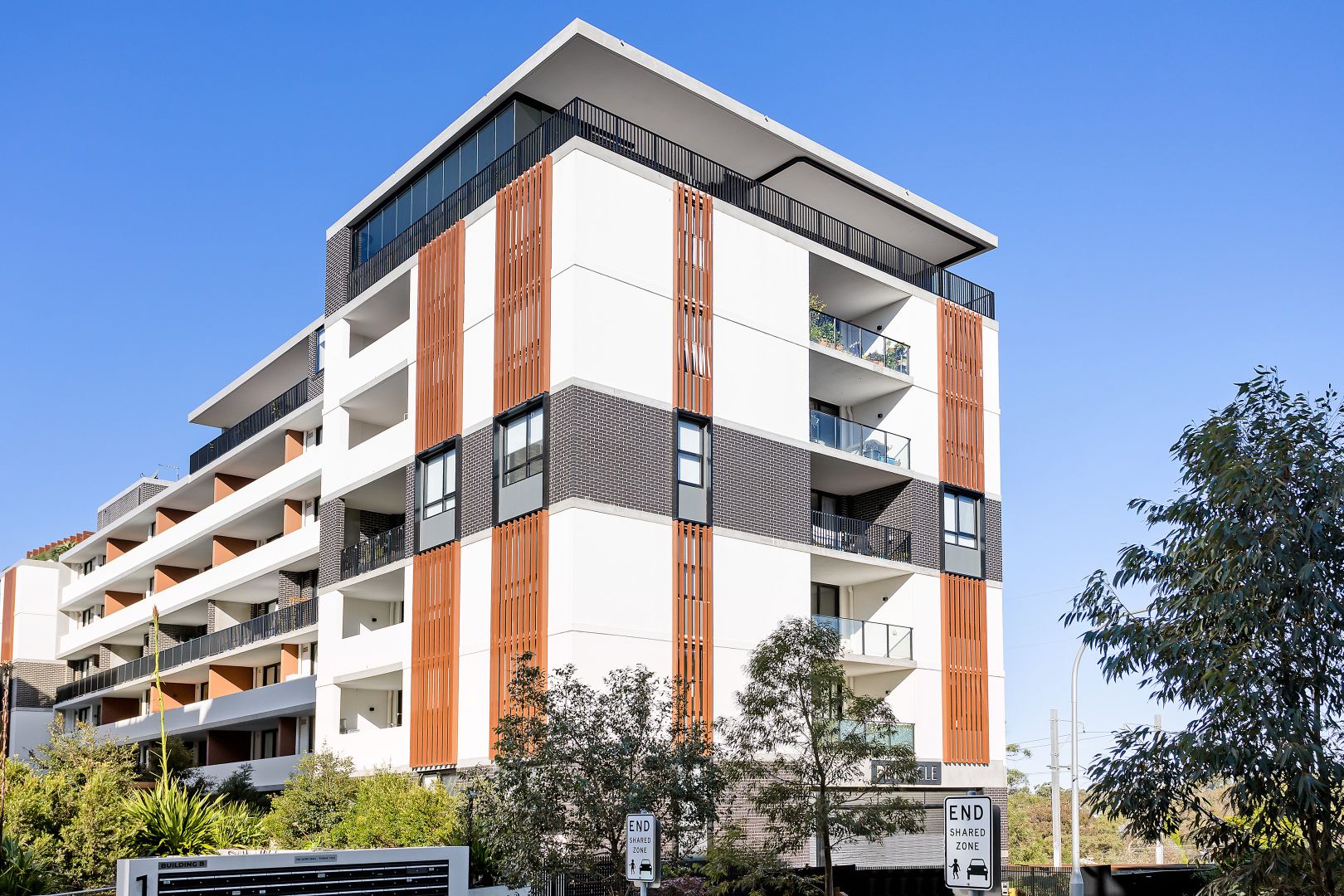 203/1 Pinnacle Street, Miranda NSW 2228 Apartment For Rent Domain