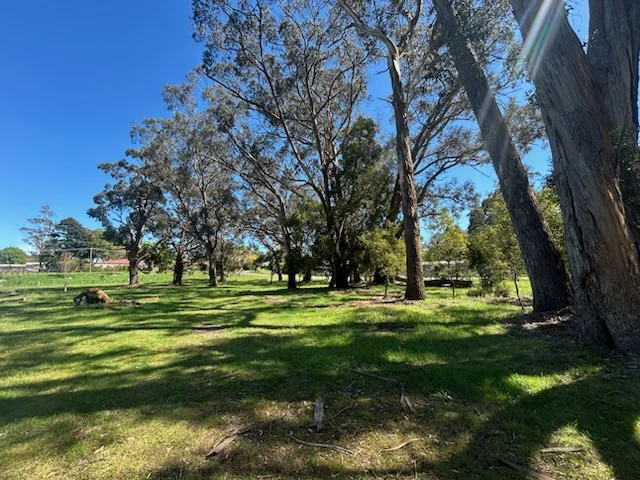 Image 9