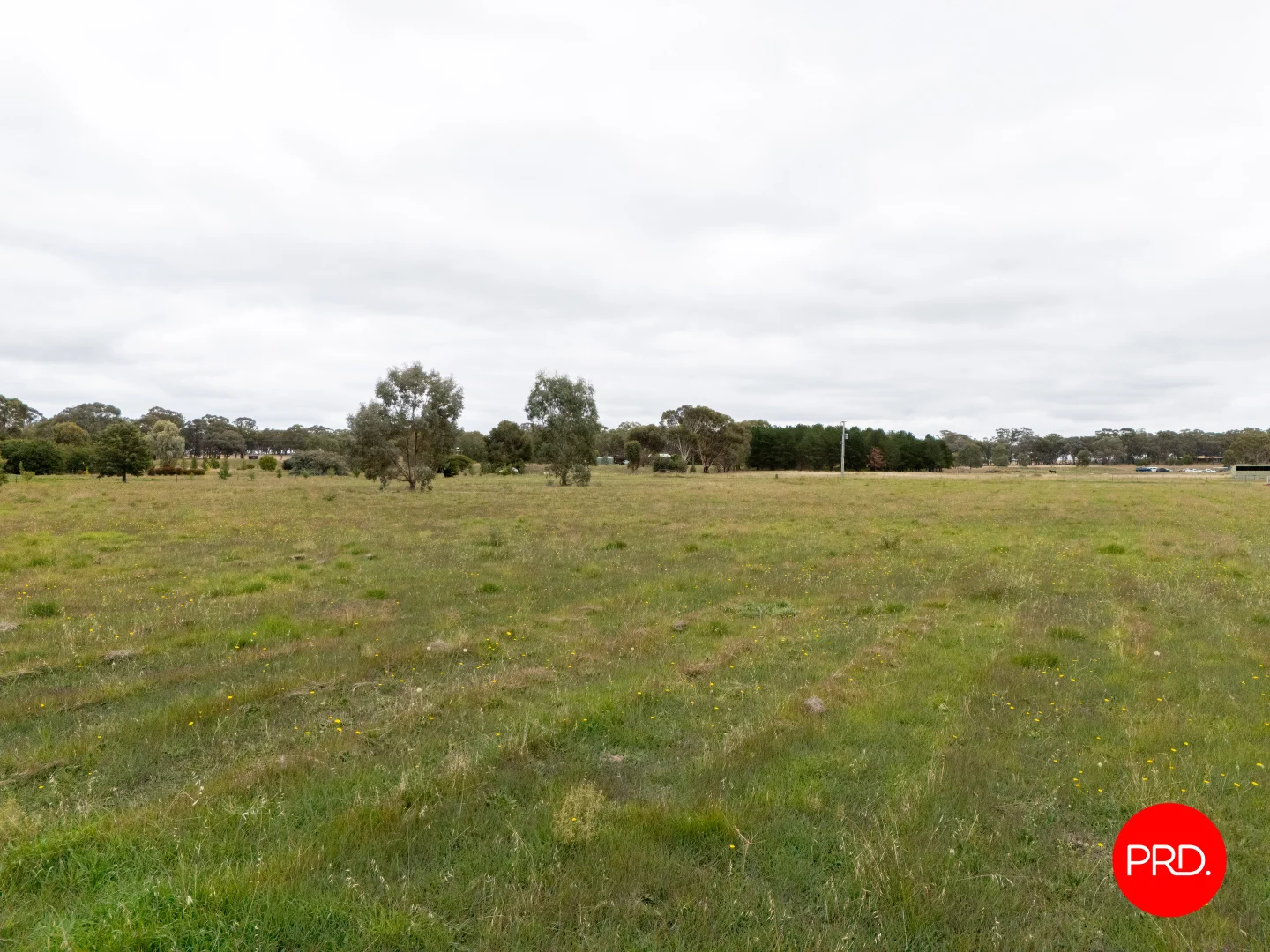 Image 14