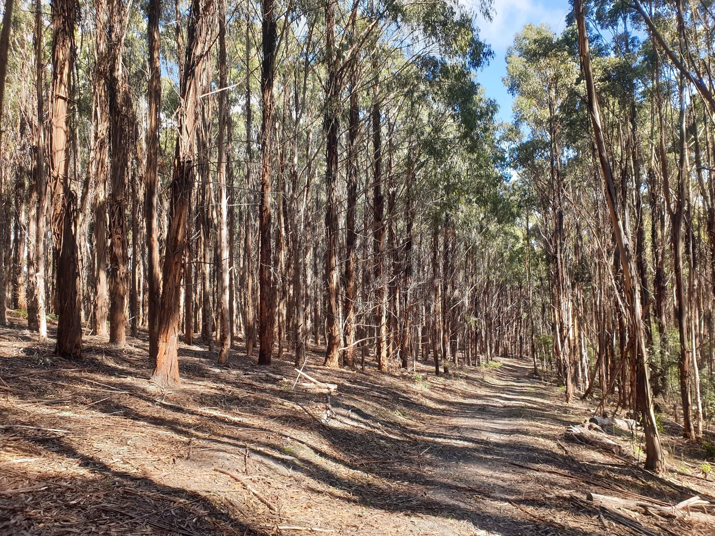 Image 11