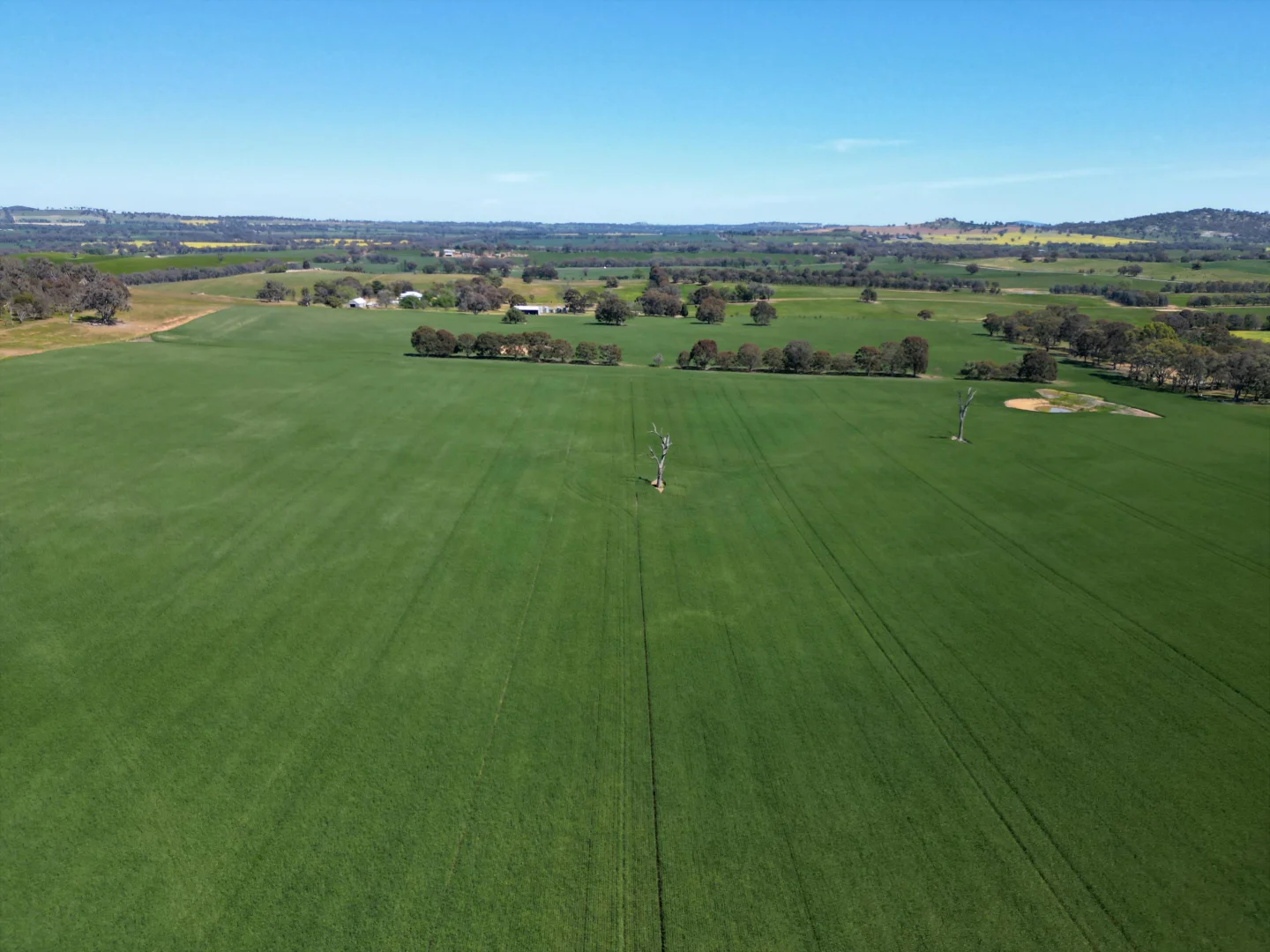 Additional image 11 of 798 Bethel Road, Glenellen NSW 2642