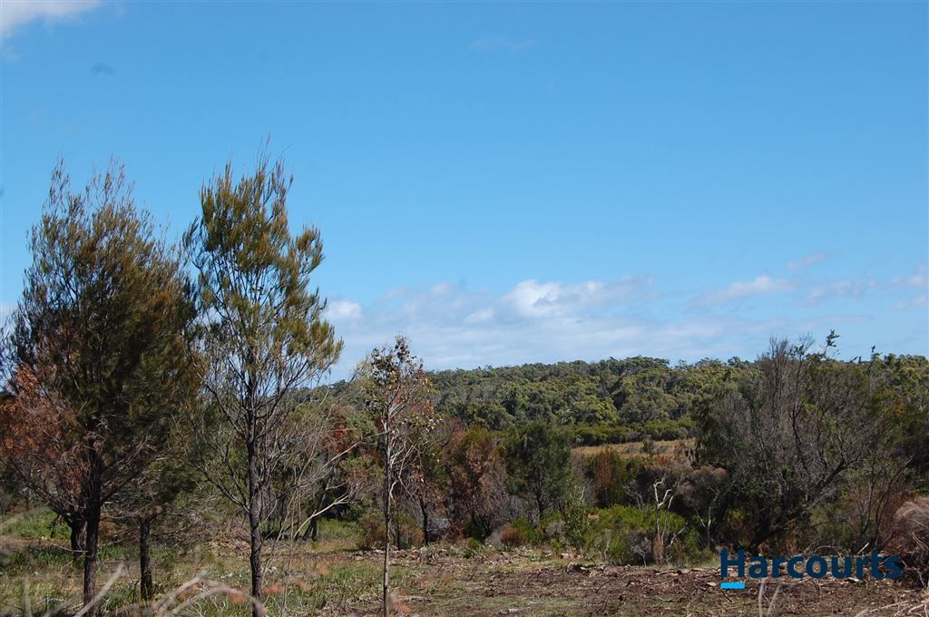 Lot 3 Soldier Settlement Road, George Town TAS 7253, Image 2