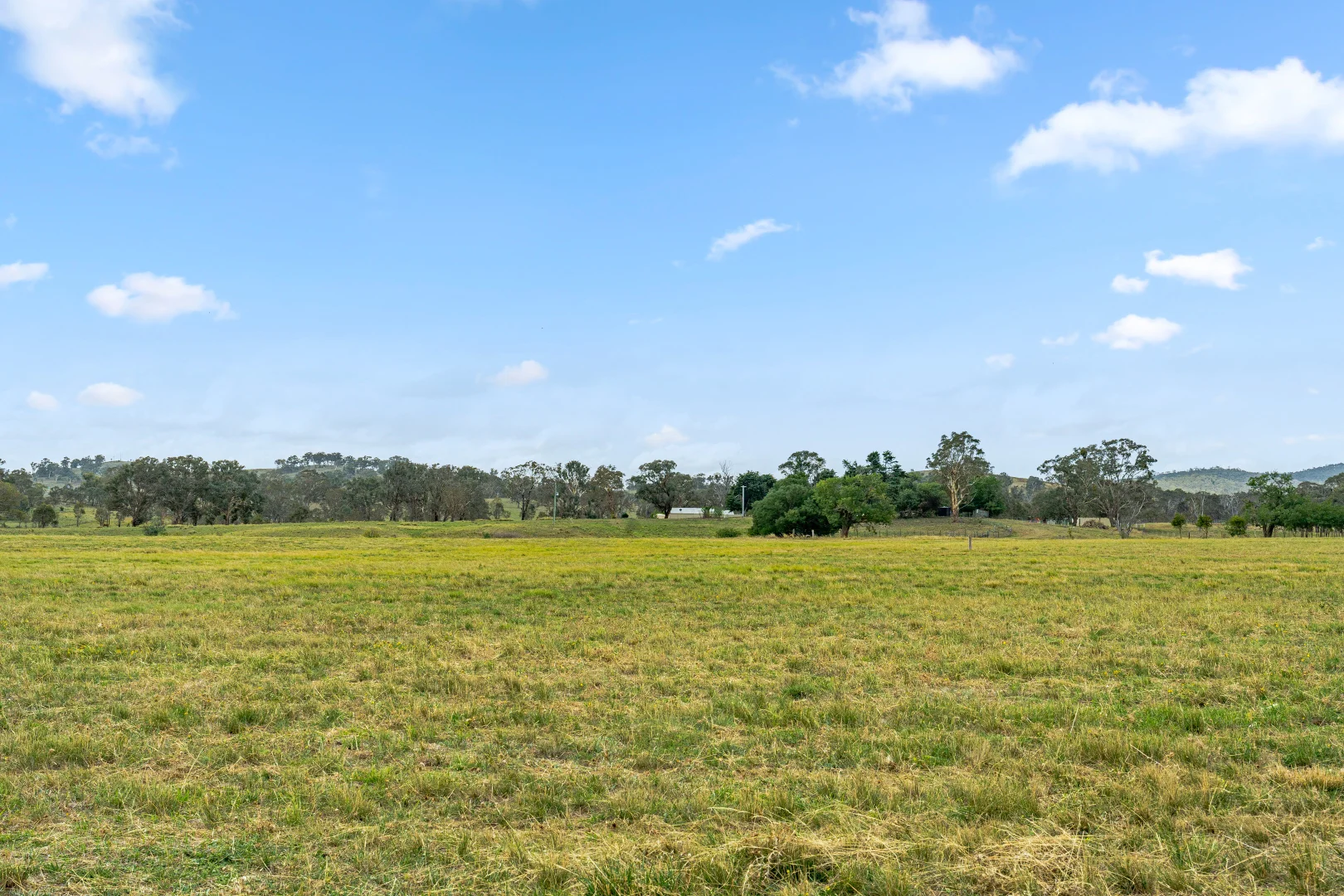 Image 49