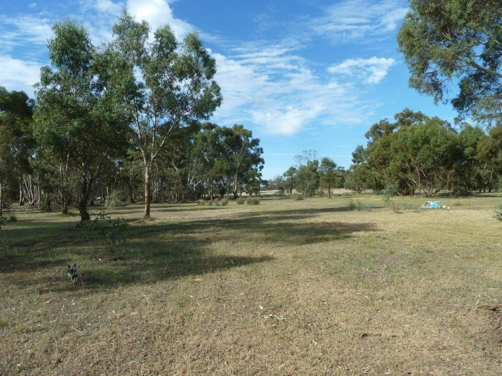 4/Section 2 Old Boort Road, Wedderburn VIC 3518, Image 1