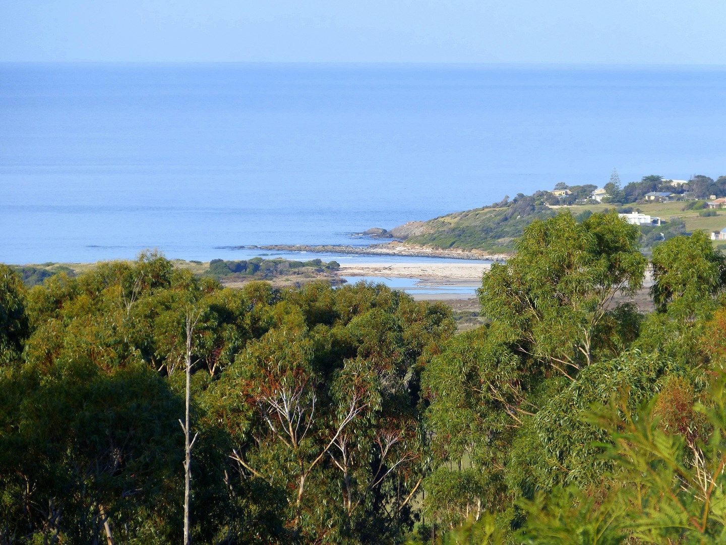 Lot 6 Mcmanus Drive, Falmouth TAS 7215, Image 0