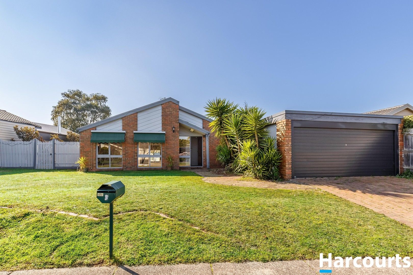 6 Bellfield Drive, Lysterfield VIC 3156 House For Rent Domain