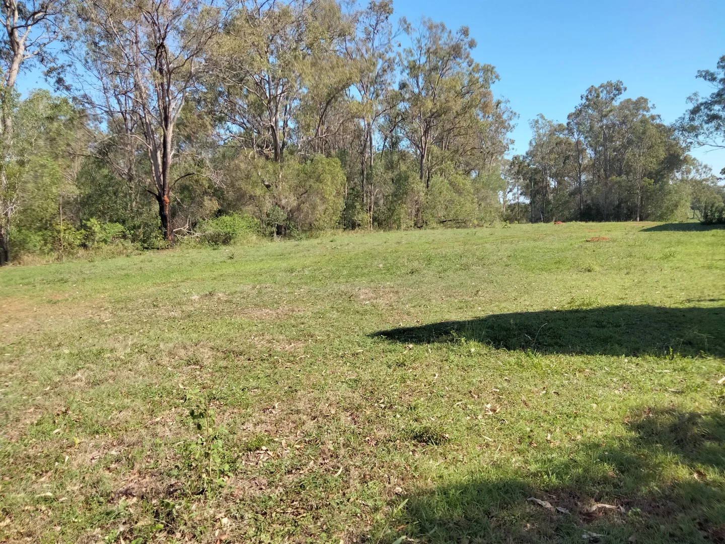 Image 48