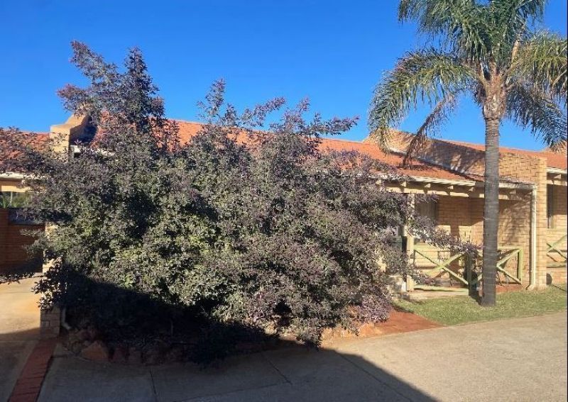 2 bedrooms Villa in 5/69 Railway Street BLUFF POINT WA, 6530