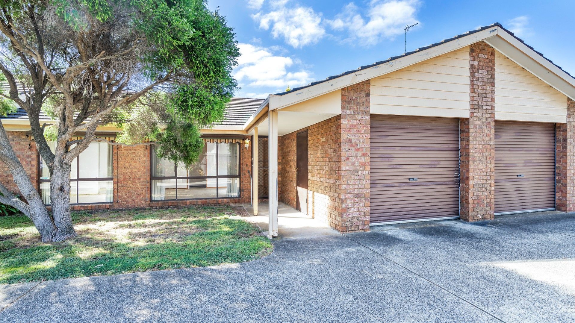 5/24 Percy Street, Newtown VIC 3220, Image 0