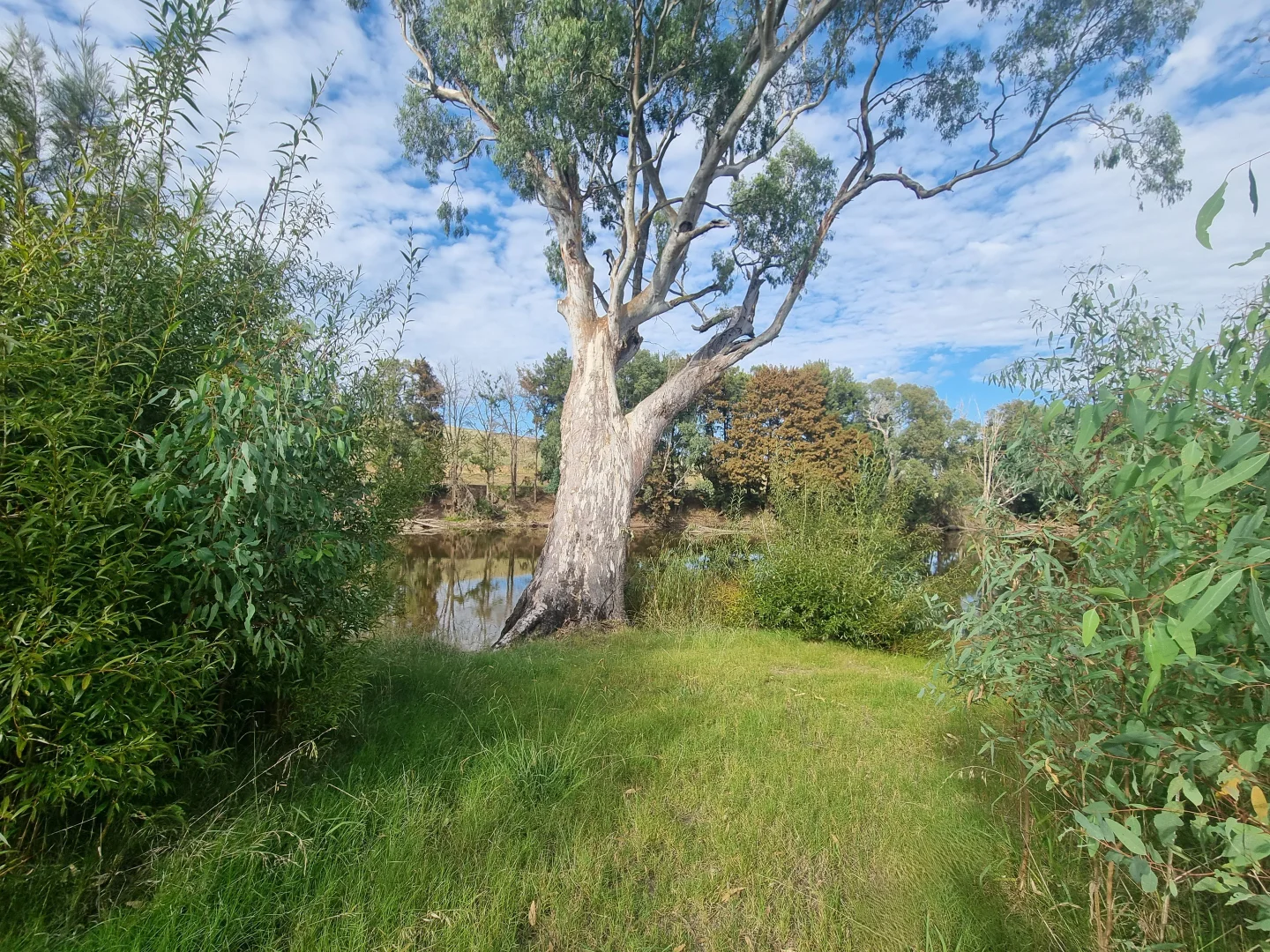 Additional image 3 of Lot Lot/316 Riverside Drive, Jugiong NSW 2726