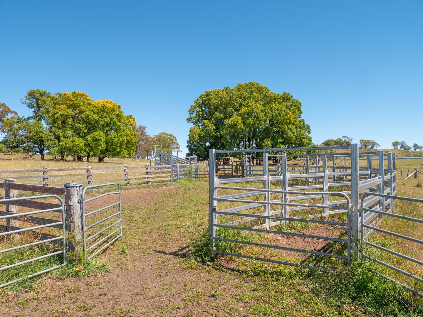 5736 New England Highway, Llangothlin NSW 2365, Image 2