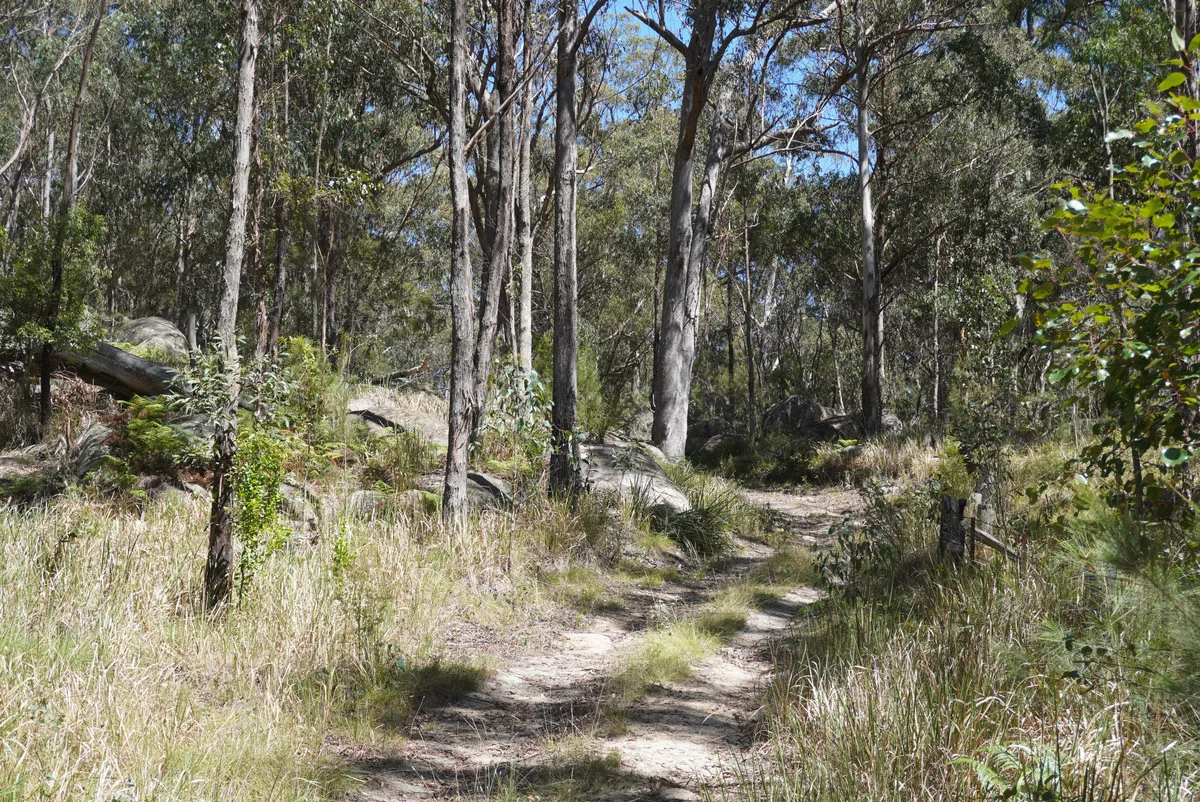 Additional image 33 of 1293 Mount Lindesay Road, Tenterfield NSW 2372