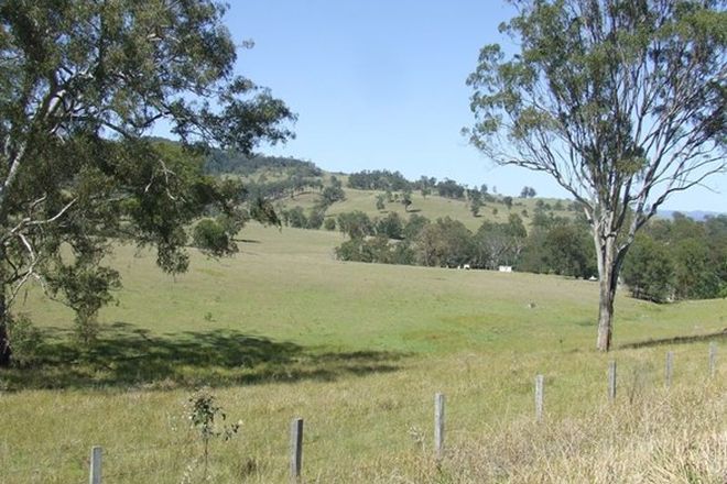 Picture of Warrigal Mt Lindesay Road, LEGUME NSW 2476