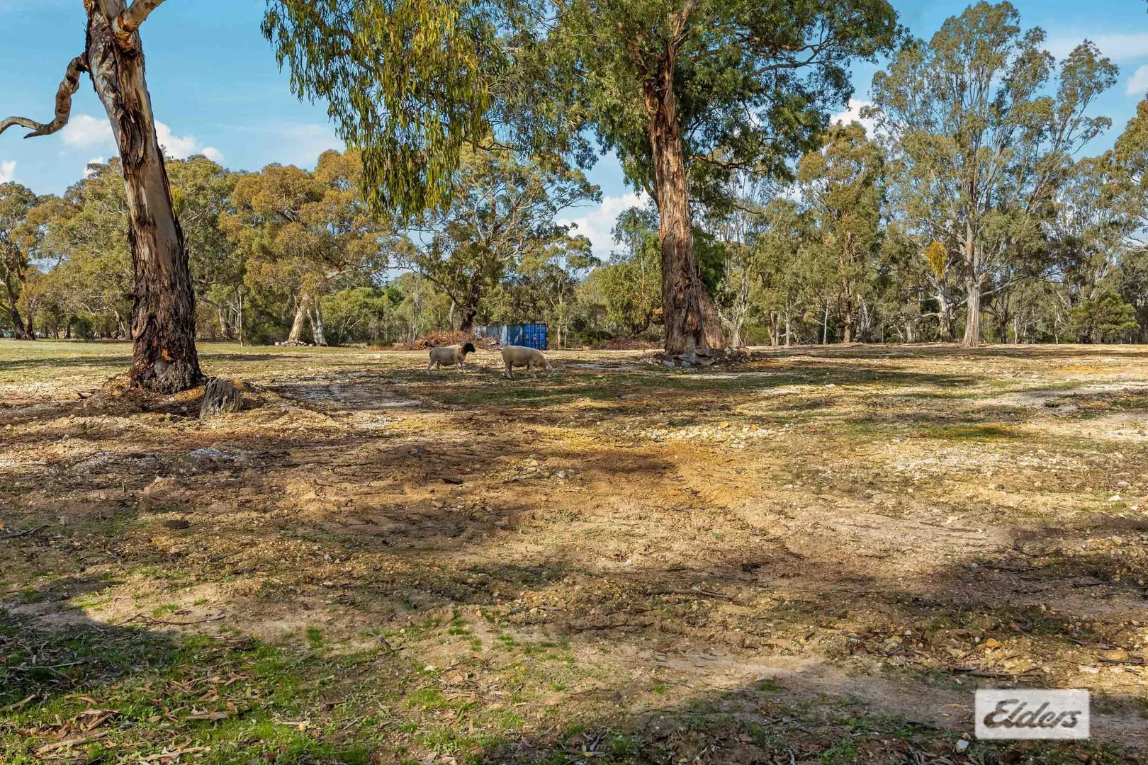 Image 10