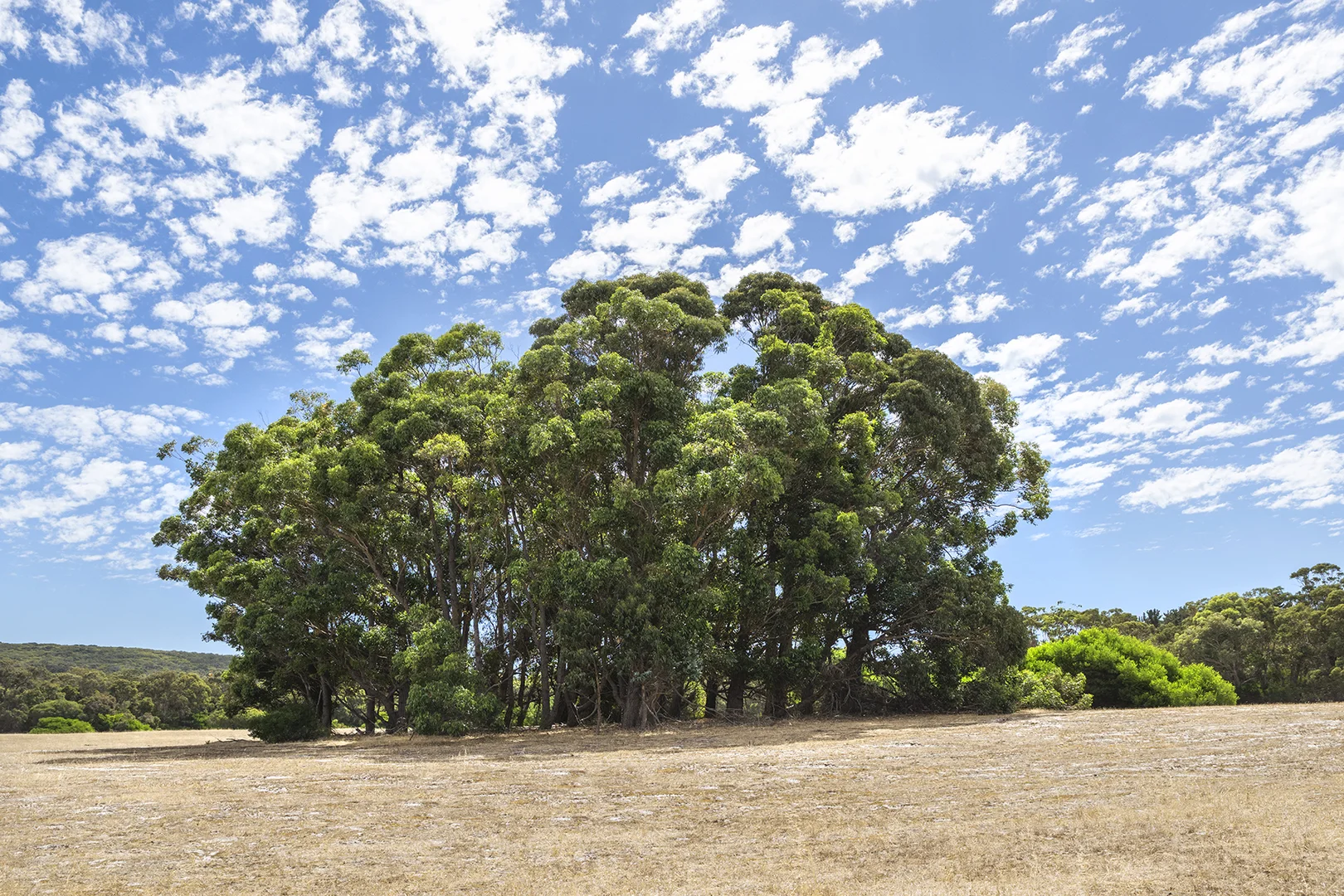 Additional image 7 of Lot 60 Vidler Road, Naturaliste WA 6281