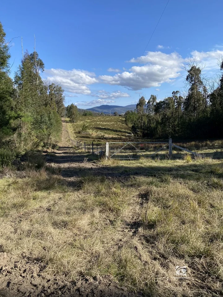 Additional image 7 of Lot 1/303 Basin Road, Buchan VIC 3885