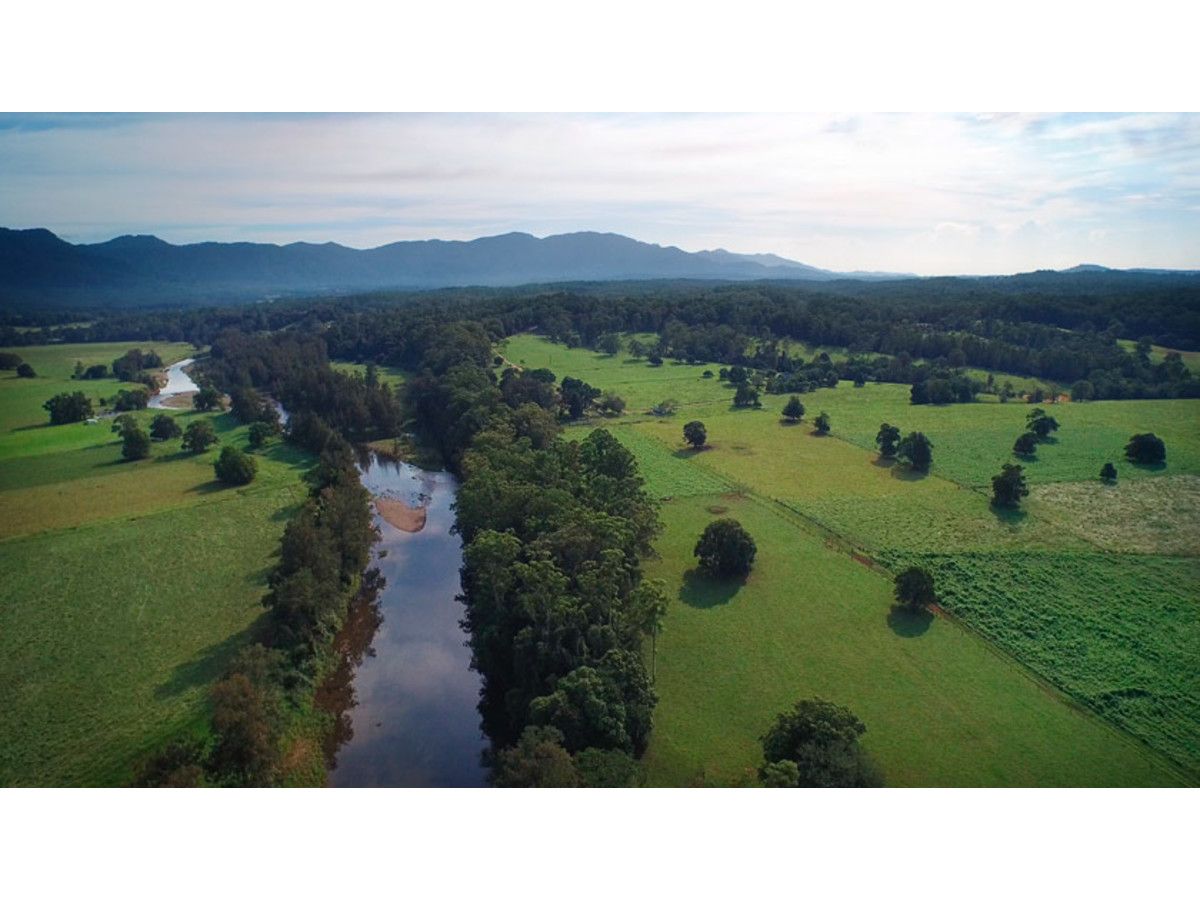 285 Roses Road, Bellingen NSW 2454, Image 2