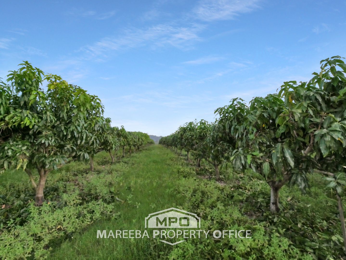 1151 Leafgold Weir Road, Dimbulah QLD 4872 House for Sale Domain