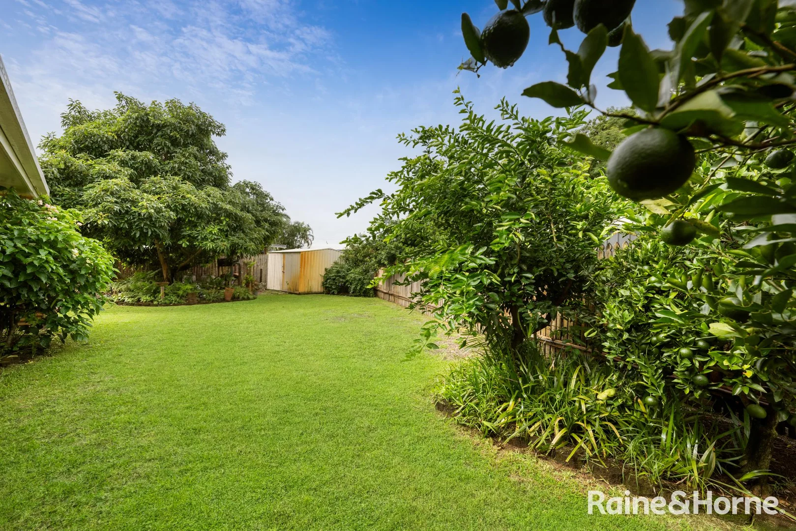 Additional image 22 of 11 Leister Court, Bucasia QLD 4750