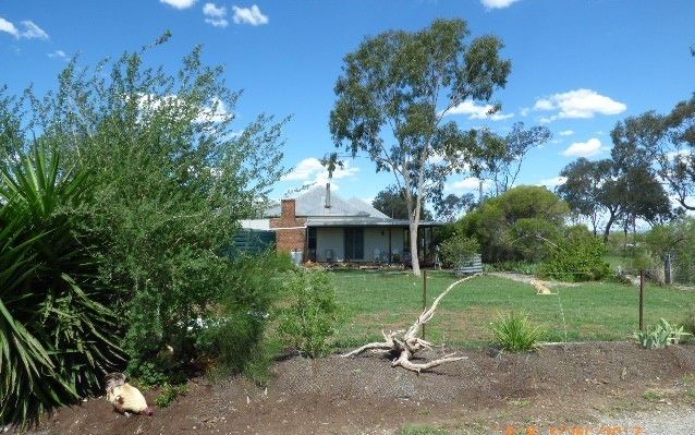 98 Bielefelds Road, Duri NSW 2344, Image 0