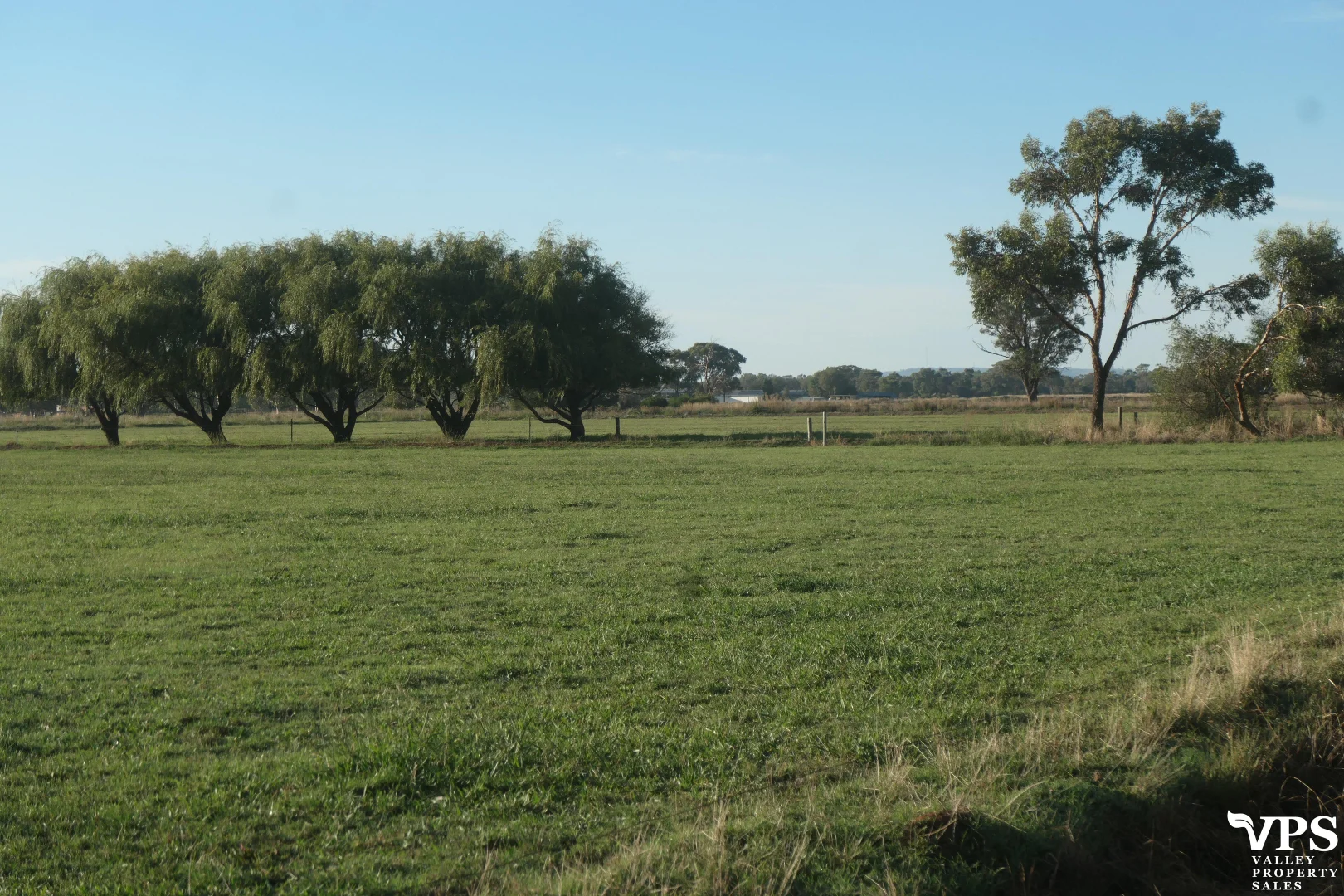 Image 20