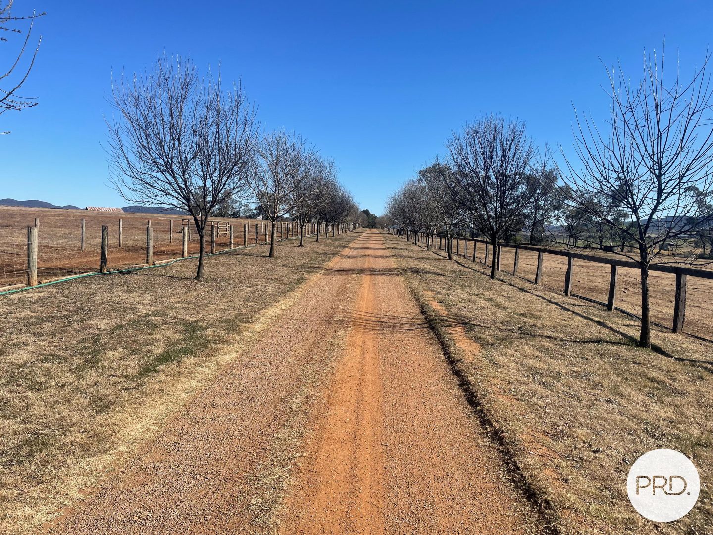 470 Dalswinton Road, Denman NSW 2328 House for Sale Domain