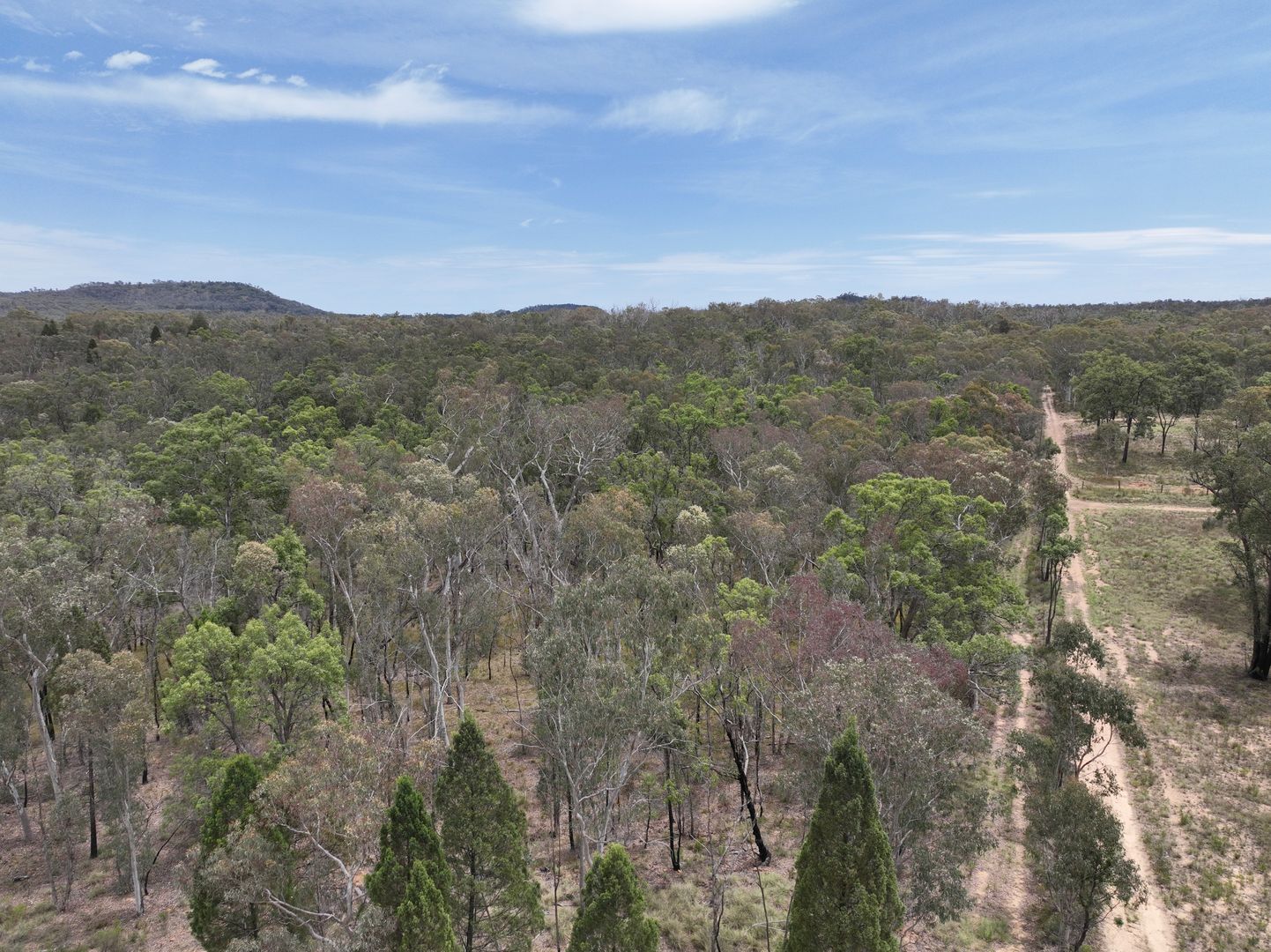 96 Shawns Creek Road, Coonabarabran NSW 2357, Image 2