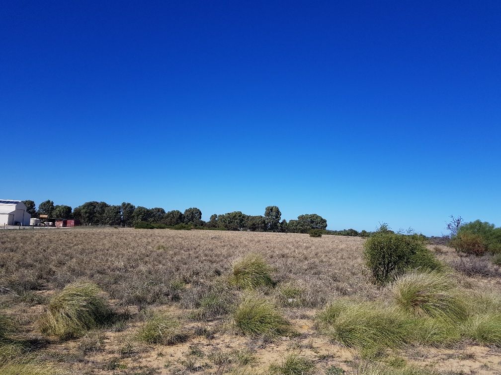 156 OCEAN VIEW Parade, Jurien Bay WA 6516 Vacant Land for Sale