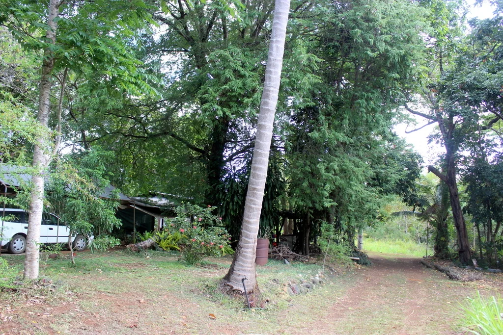 Image 36