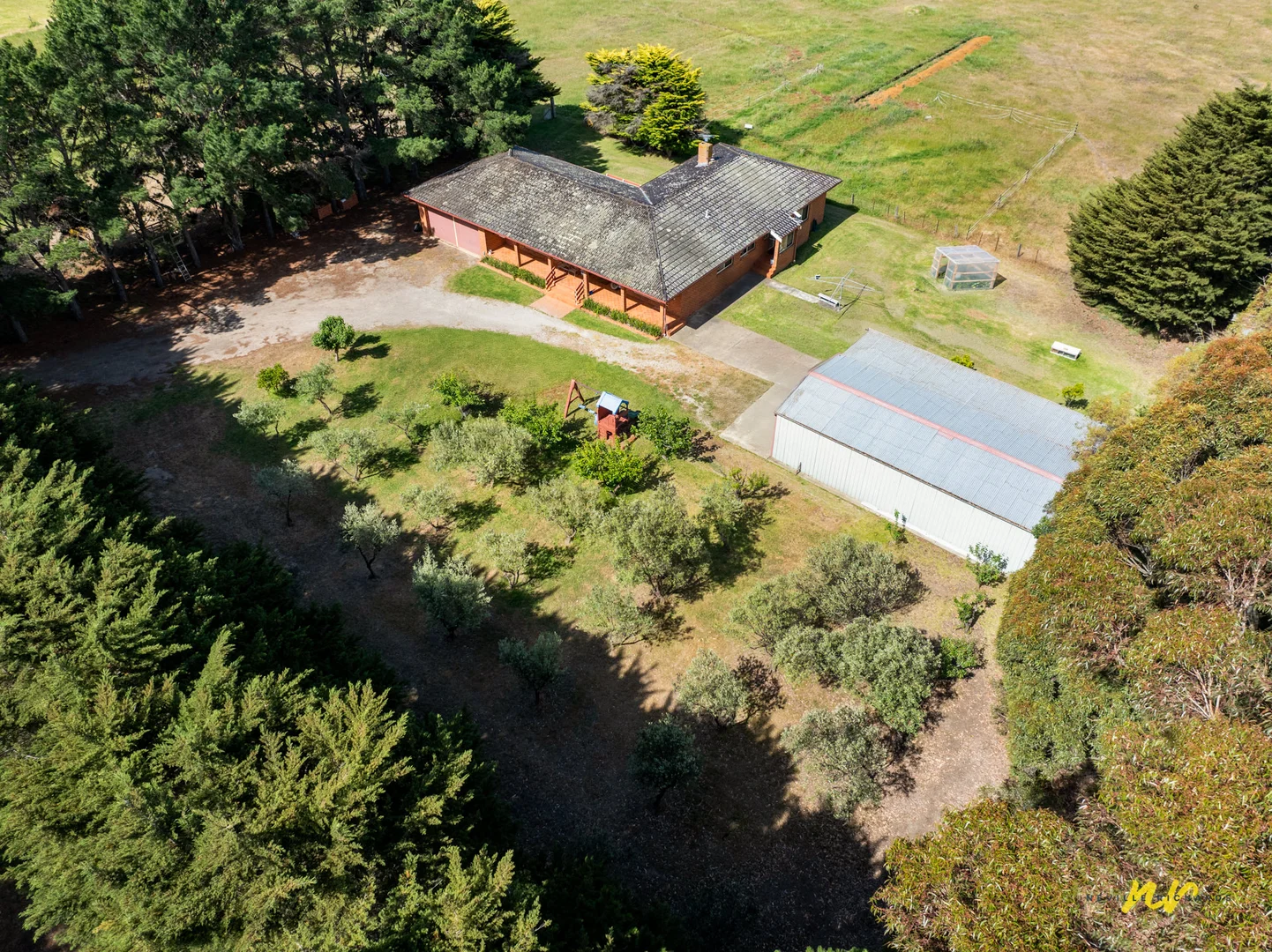 Image 4