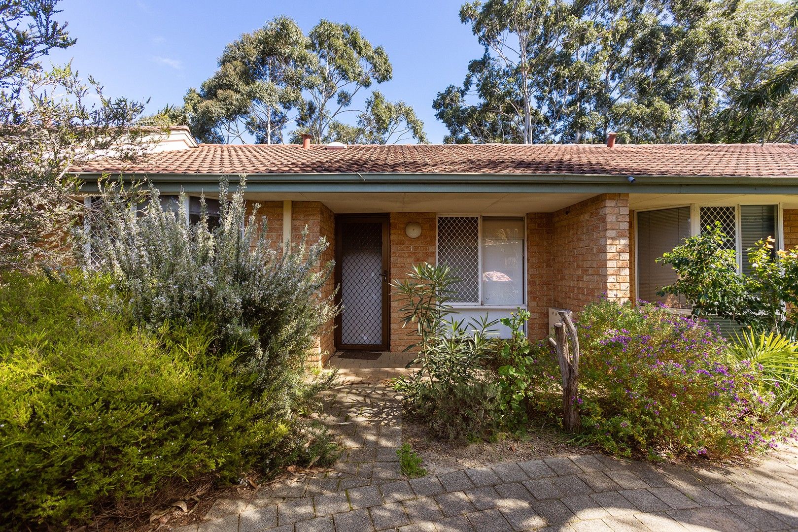 2 bedrooms Villa in 16/8 Newton Street BAYSWATER WA, 6053