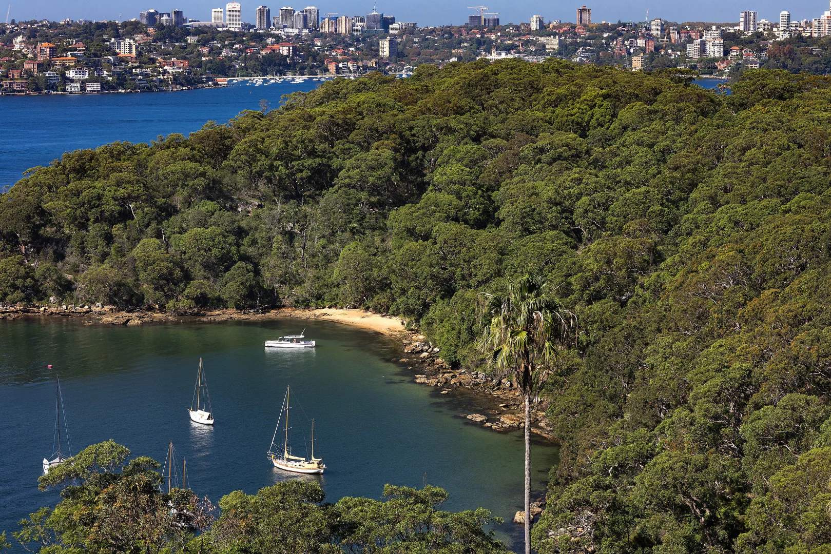 Additional image 9 of 1 Buena Vista Avenue, Mosman NSW 2088