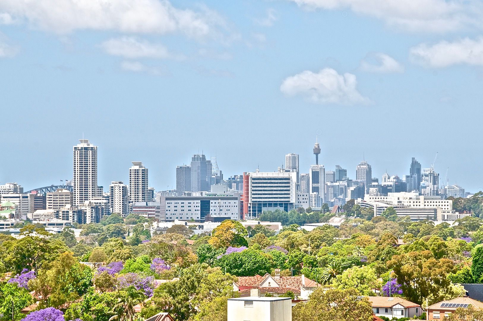 1305/37 Victor Street, Chatswood NSW 2067, Image 0