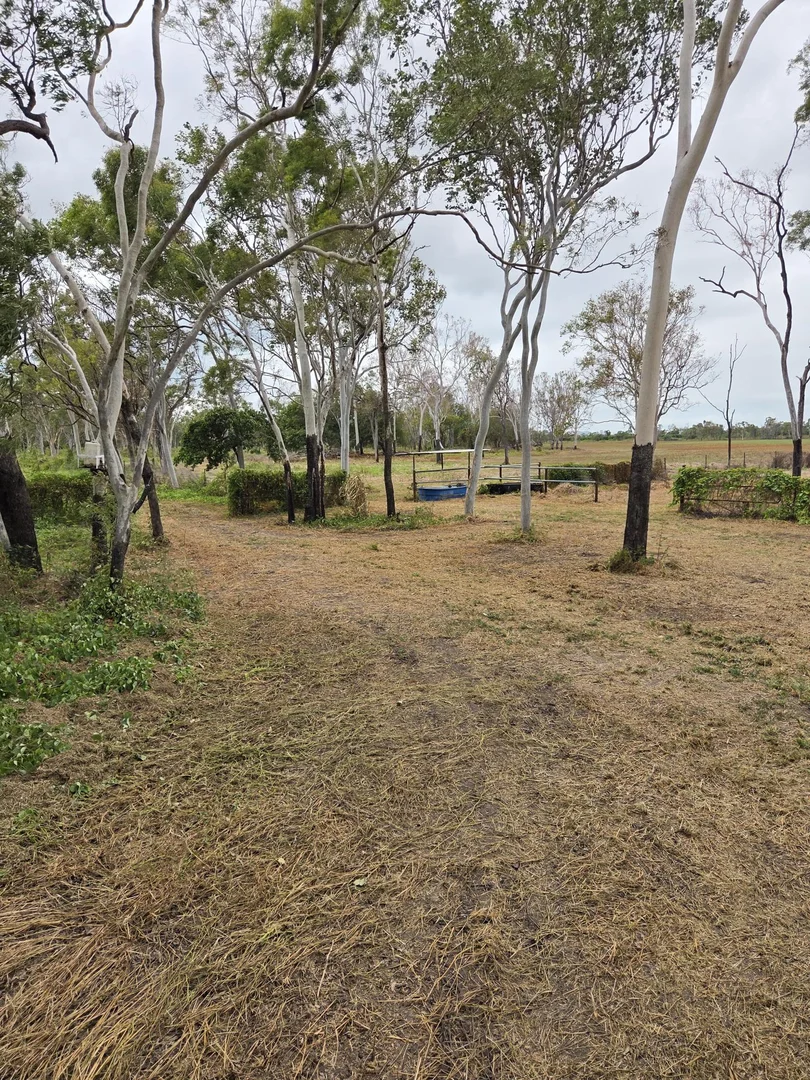 Image 14