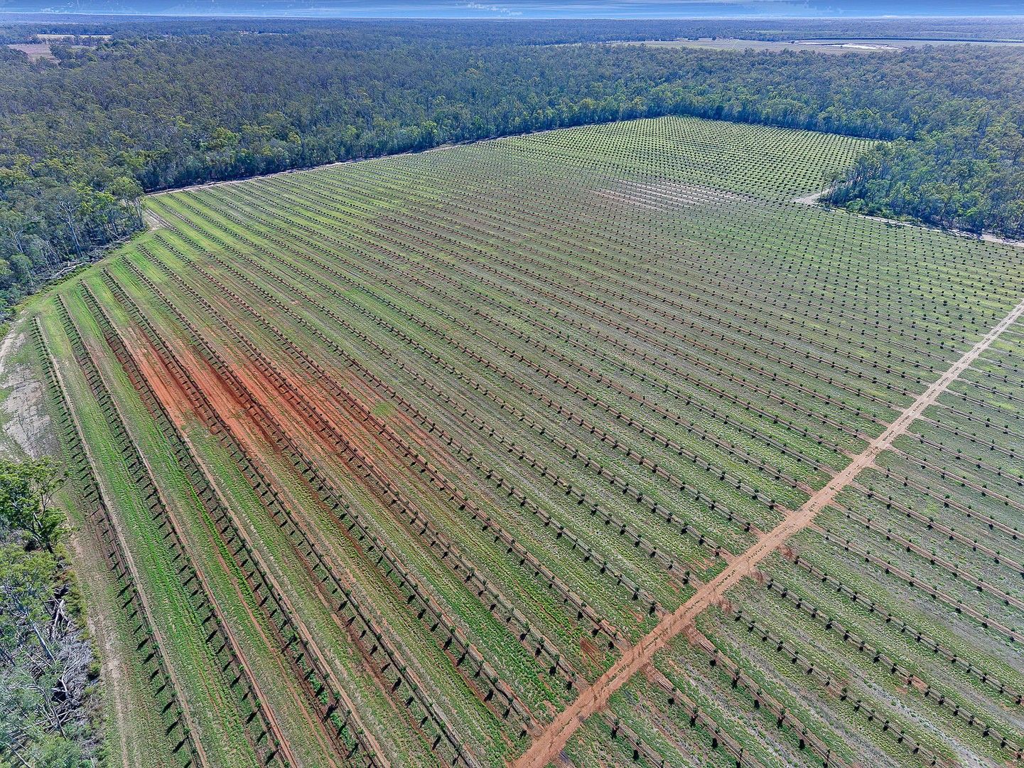 19 Dukes Road, Bucca QLD 4670 House for Sale Domain