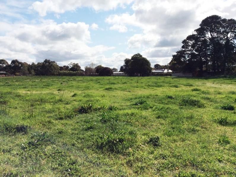 Lot 152 Queen Street, Penola SA 5277, Image 0