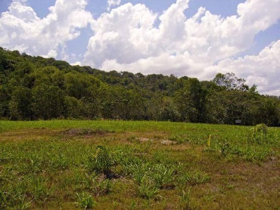 Lot 10 Thomson Low Drive, Shannonvale, MOSSMAN QLD 4873, Image 2