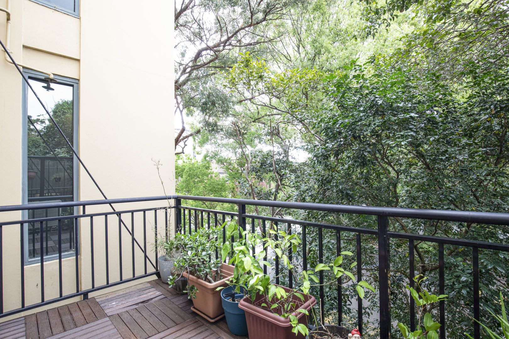 20/8 Cavill Avenue, Ashfield NSW 2131, Image 2