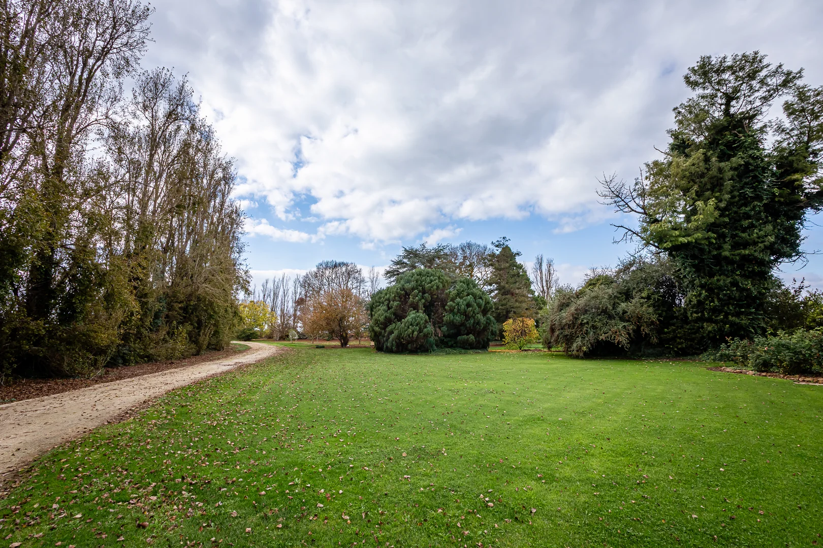 Image 20