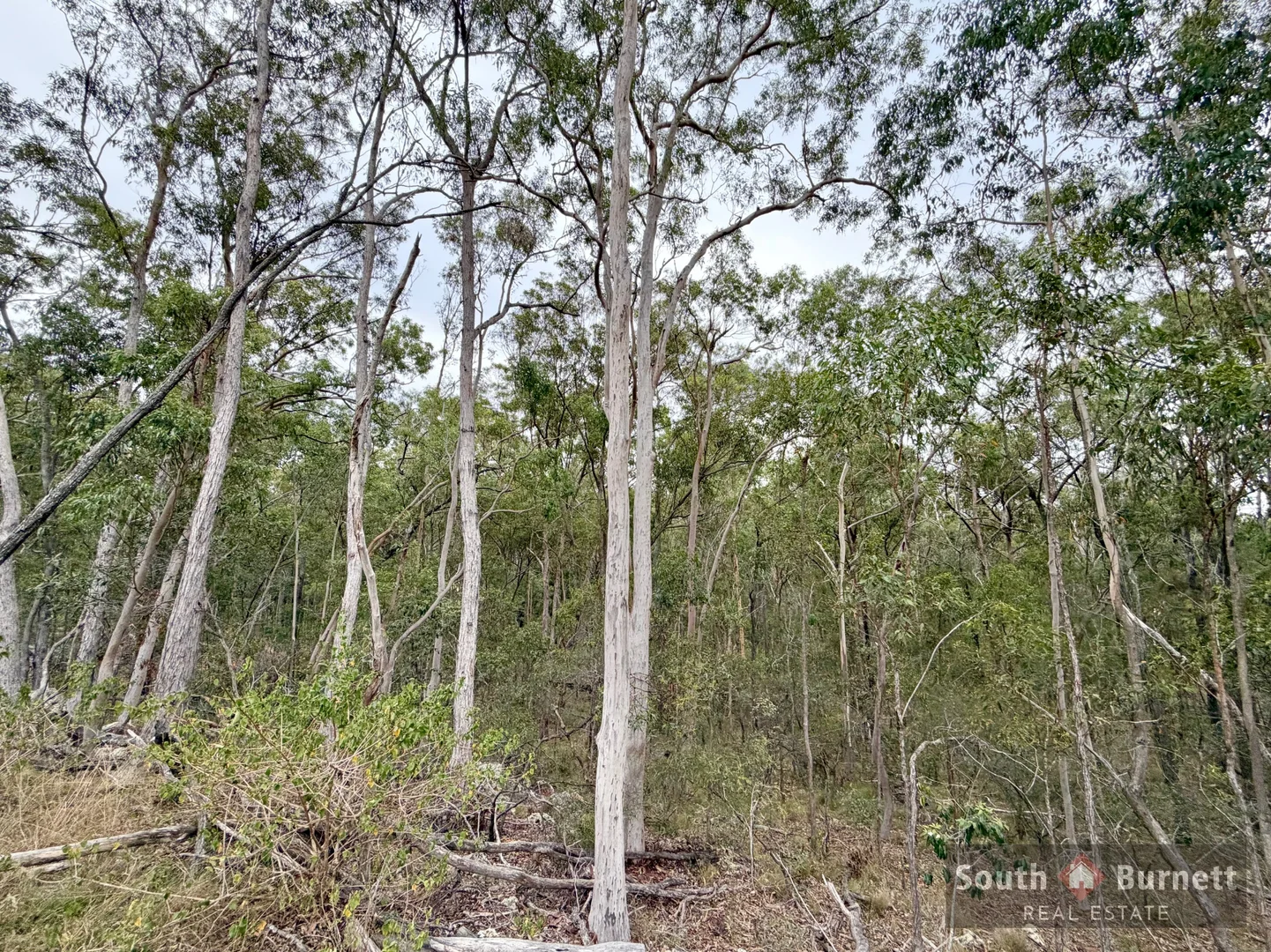 Image 18