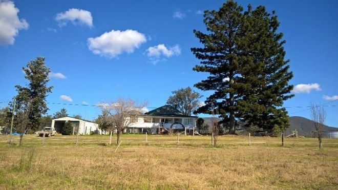 Picture of 2282 Rivertree Rd, RIVERTREE NSW 2372
