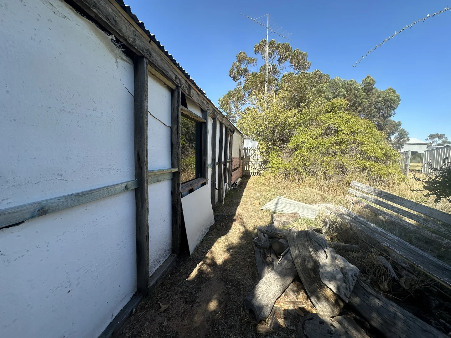 Image 7
