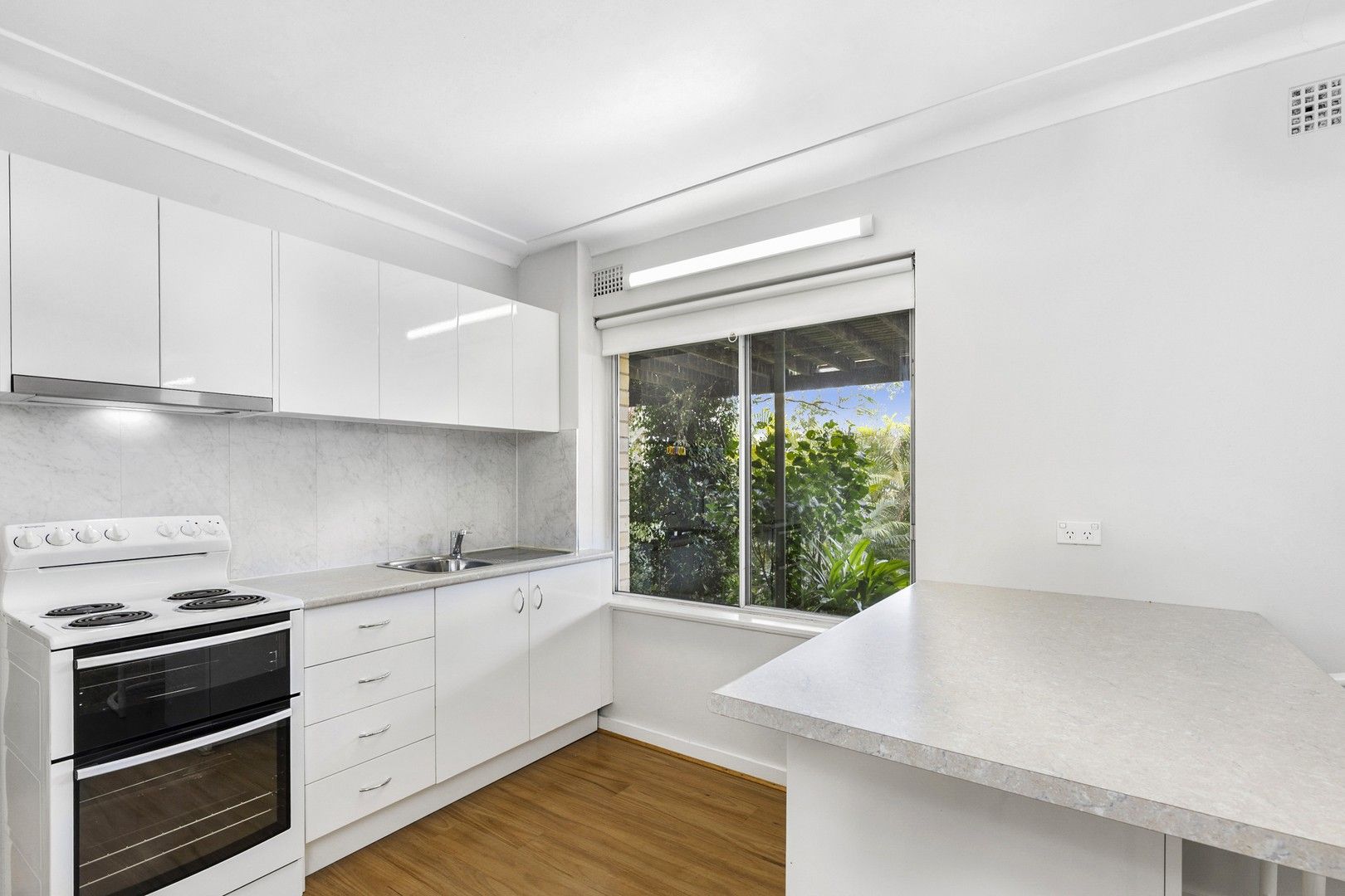 1 bedrooms Semi-Detached in 6 Cheryl Crescent NEWPORT NSW, 2106