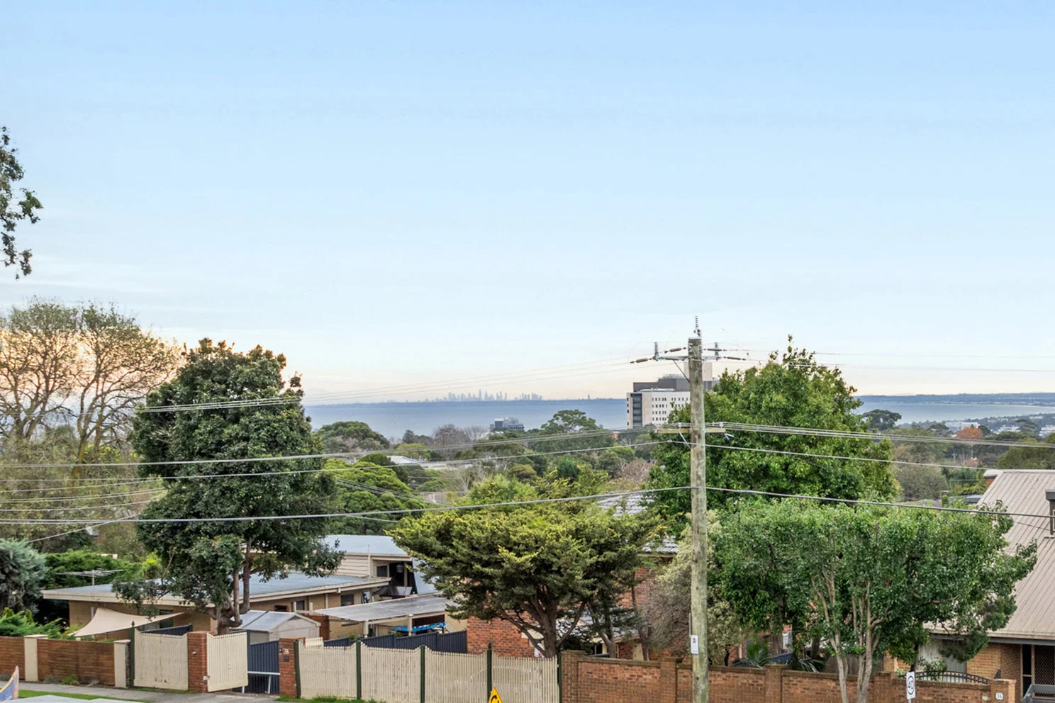 Image 20