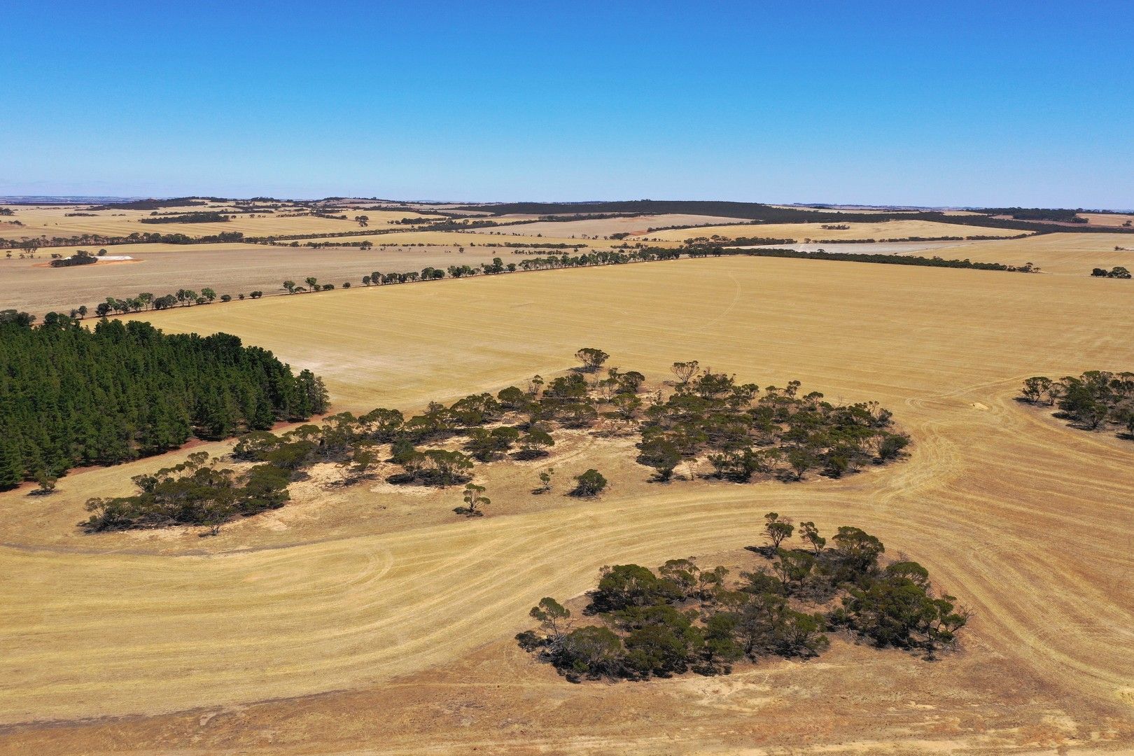 Rifle Range Road, Kukerin WA 6352, Image 0