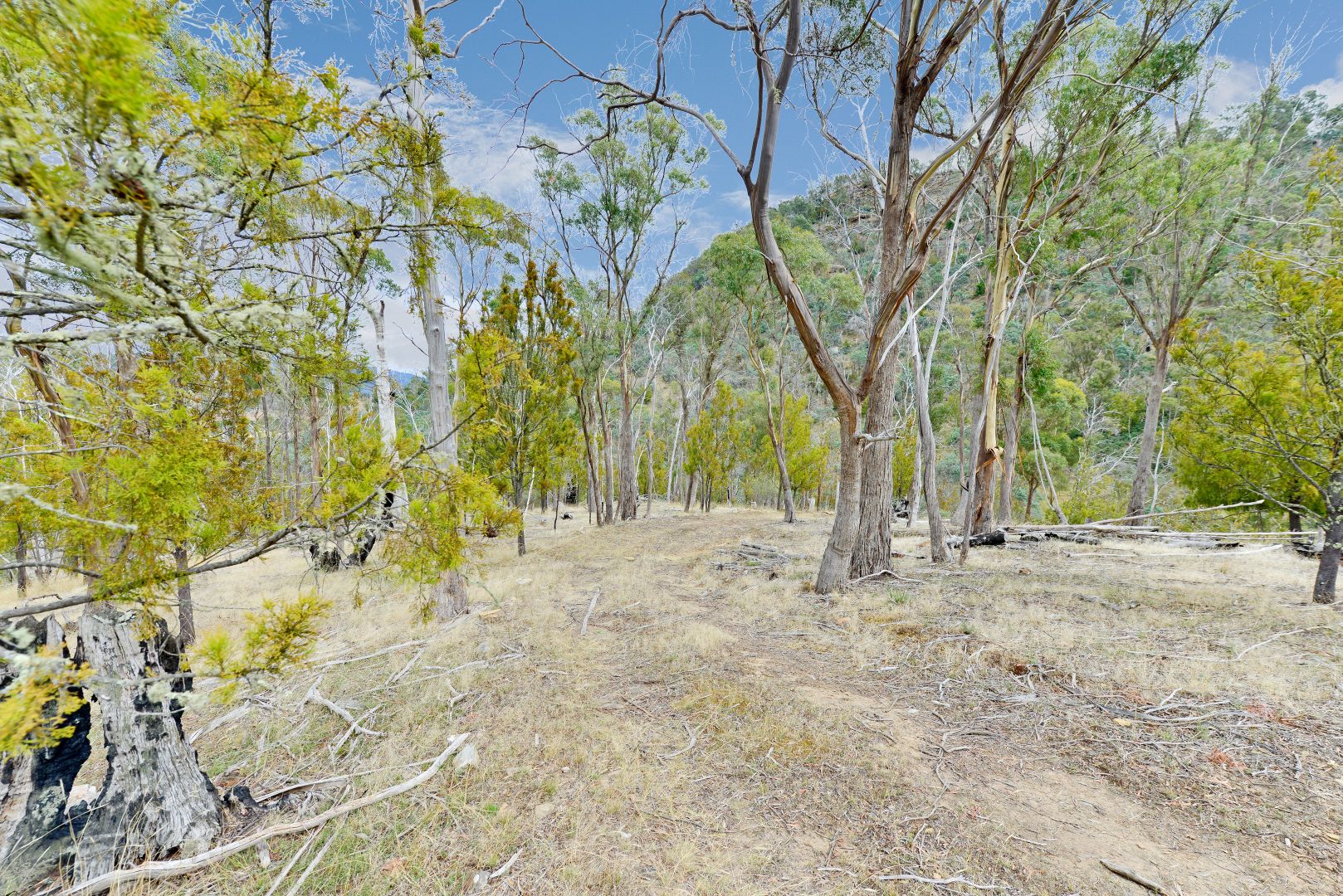 Cockatoo Gully Road, Elderslie TAS 7030, Image 1