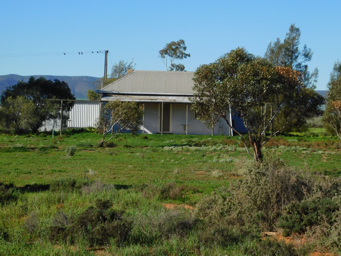 51 Steamtrain Road, Coonamia SA 5540, Image 1