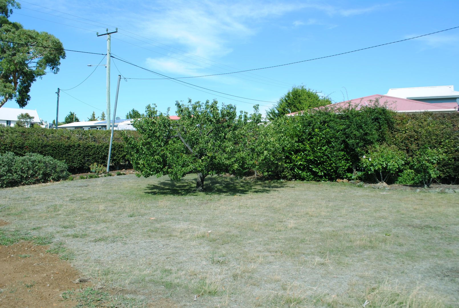 33 Gordon Street, Swansea TAS 7190, Image 2