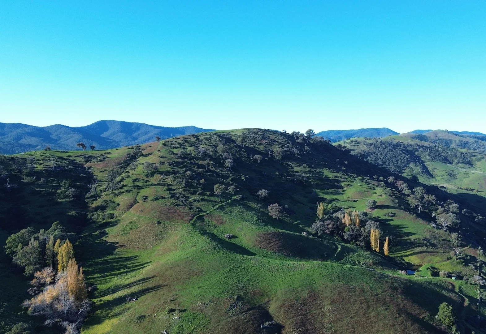 Image 9